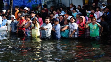  Giá gạo sẽ tăng sau lũ lụt ở Thái Lan?