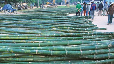 Độc đáo chợ tre An Lương
