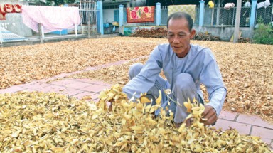 Kho thuốc của những lão nông