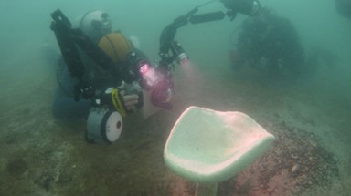  Singapore: Phát hiện loài bọt biển quý hiếm sau hơn 100 năm