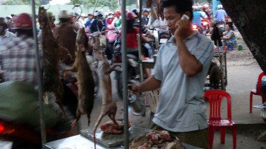 Tận diệt thú rừng