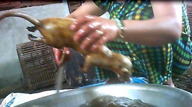 Tận diệt thú rừng: Điểm mặt đầu nậu