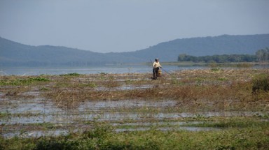  Tây Ninh: “Xẻ thịt” hồ Dầu Tiếng