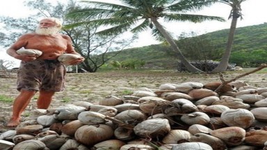 Bị vợ bỏ, doanh nhân ra hoang đảo sản xuất bia