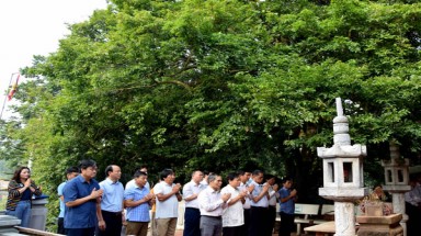  Hội nghị Báo cáo kết quả thử nghiệm chăm sóc, kéo dài tuổi thọ Cây Táu-Cây Di sản Việt Nam tại TP. Việt Trì