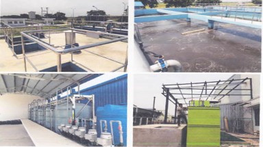 CETRA là một trong những đơn vị đi đầu trong phong trào BVMT của VACNE