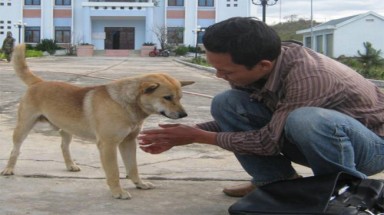 Đắk Lắk: Chó săn càn quét vườn quốc gia