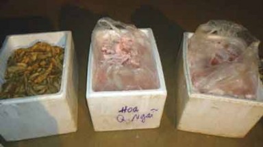 Quảng Ngãi: Đột kích lò chế biến mỡ động vật thối