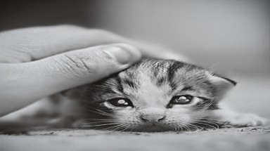 12 bức ảnh đến từ trí tưởng tượng tuyệt vời