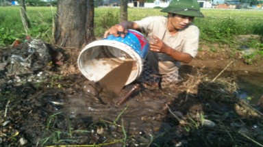 Hà Nội: Theo chân "cao thủ" săn... chuột đồng