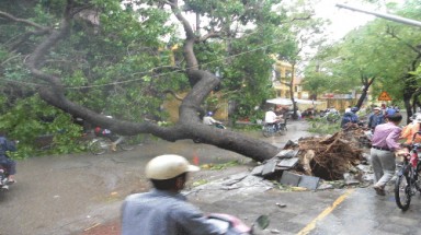  Hải Phòng: Xem xét trách nhiệm giám đốc sở không trực bão