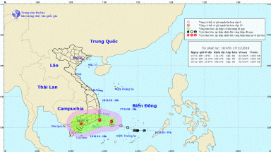 Tin bão khẩn cấp cơn bão số 8, bão Toraji