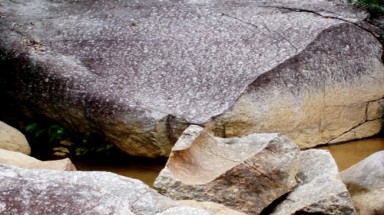  Cánh đồng vàng Bồng Miêu- Quảng Nam