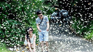 Bảo tồn, khai thác và phát triển nguồn gen tại Vườn quốc gia Cúc Phương