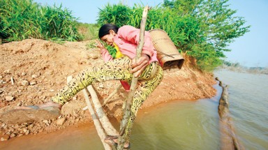 Cầu ơi là... cầu