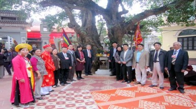  Hà Nội: Vinh danh những cây cổ thụ đầu tiên của quận Ba Đình 