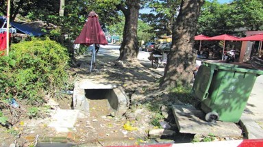   Cây xanh – công trình ngầm: làm sao vẹn cả đôi đường?