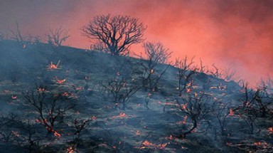  Mỹ: Cháy rừng dữ dội, gần 10.000 người sơ tán