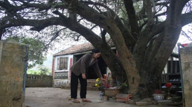 Giải mã bí mật "Ngôi chùa thề độc" của người Mường