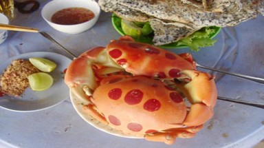 Cua mặt trăng, đặc sản mới của dân đảo Phú Quý