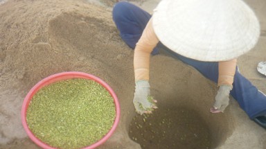 Giá sạch kêu oan