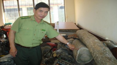 Đắk Lắk: Một tháng, xử lý 15 vụ khai thác, vận chuyển trái phép gỗ đổi màu