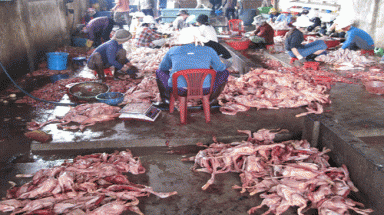 Phóng viên bị bắt nhốt khi quay cảnh ô nhiễm