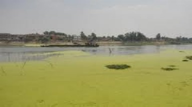  Ngân Hàng ADB hỗ trợ dự án phục hồi hồ ô nhiễm nhất ở TQ