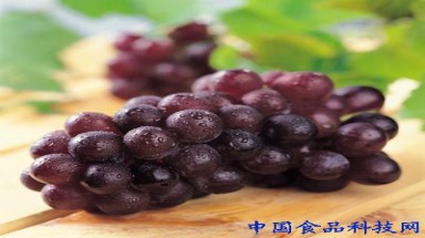 9 loại rau quả giúp bạn luôn khỏe mạnh