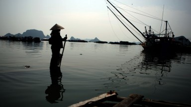 Hạ Long chưa mất tiền cho New Open World ?