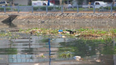 Các kênh thoát nước quan trọng nhất TP bị “đầu độc”
