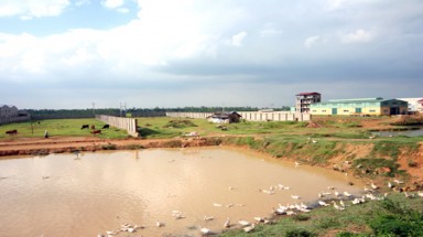  Đất khu công nghiệp bỏ hoang: Hàng vạn nông dân mất việc làm 