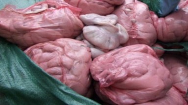 Lạng Sơn: chặn đứng hơn 3 tấn nầm lợn bẩn vào nội địa