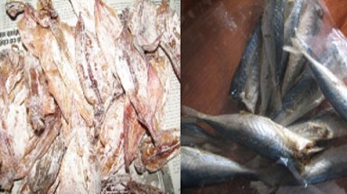 Phát hiện: Mực, cá nục khô có thuốc trừ sâu