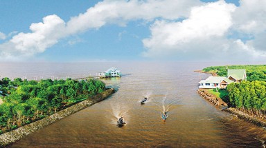  Bảo vệ rừng ven biển Cà Mau 