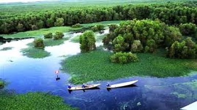 Vườn quốc gia Mũi Cà Mau sẽ là khu ramsar thứ 5