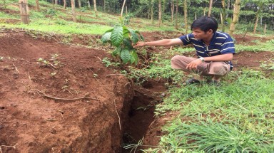 Sụt lún gần hồ bùn đỏ Nhà máy Alumin Nhân Cơ