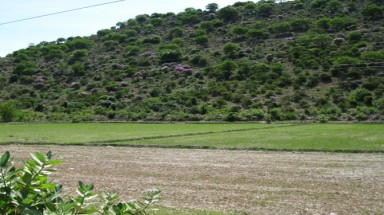  Bình Thuận: Tiếp tục cho thăm dò "kho vàng 4.000 tấn" ở núi Tàu