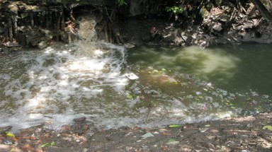 Gia Lai: Hàng trăm hộ dân sống chung với ô nhiễm