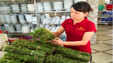 Rau dớn - Sản vật độc đáo của núi rừng Yên Tử ít người biết đến