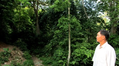 Khu rừng mang tên đại tướng