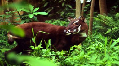 Phát động cuộc thi "Thiết kế Ấn phẩm Quảng cáo công cộng"