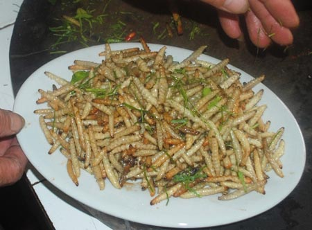 Lên Mường Lát thưởng thức món sâu