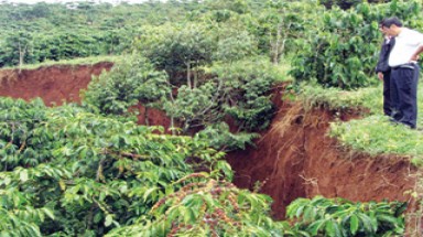  Lâm Đồng: Hàng ngàn mét vuông đất bị sụt lún