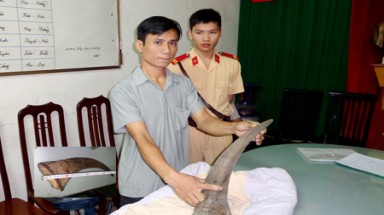  Quảng Ninh: Cảnh sát giao thông bắt giữ sừng tê giác tiền tỷ
