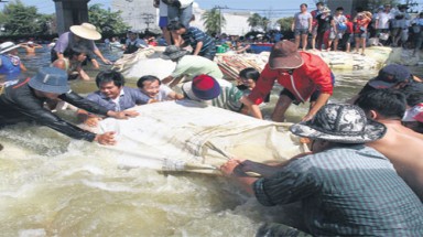 Người dân ngoại ô Bangkok biểu tình đòi xả lũ