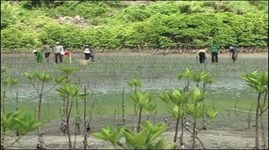  Thanh Hóa: Giải pháp cho người dân vùng có nguy cơ cao về thiên tai   