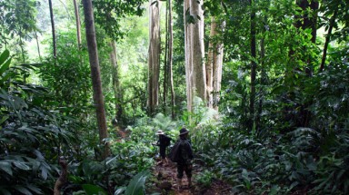   Dự án thủy điện Đồng Nai 6 và 6A: Phải trình Quốc hội xem xét !