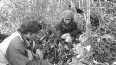  Săn lá kim cương: Cạn kiệt vẫn đổ xô đi tìm