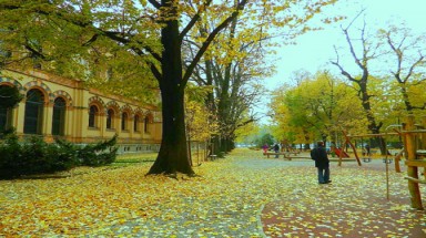 Ảnh đẹp về mùa thu thành phố Milan